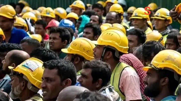 মালয়েশিয়ায় বাংলাদেশি শ্রমিক নিয়োগে চলমান ‘সিন্ডিকেট’ প্রথা বাতিলের আহ্বান।