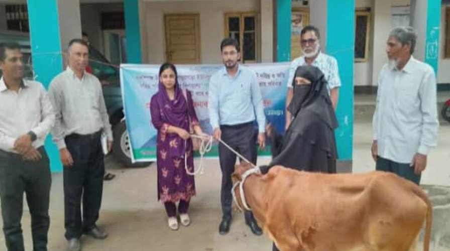 বকশীগঞ্জে দরিদ্র পরিবারের মাঝে বিনামূল্যে গাভী বিতরণ