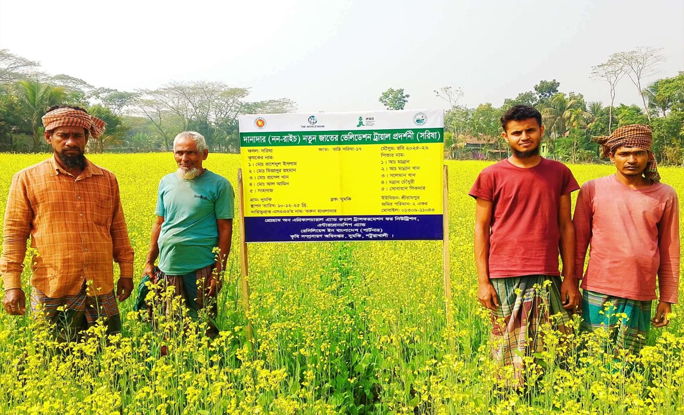 দুমকিতে সরিষার হলুদ ফুলে ভরা মাঠ, কৃষকের মুখে হাসি