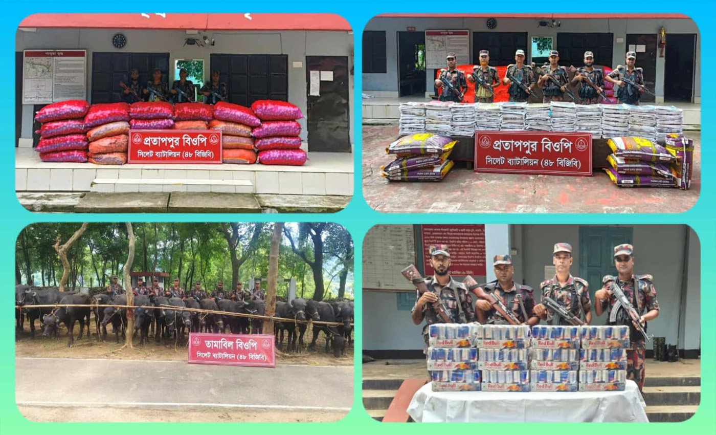 সিলেট সীমান্তে বিজিবির অভিযানে সোয়া কোটি টাকার ভারতীয় চোরাই পণ্য জব্দ