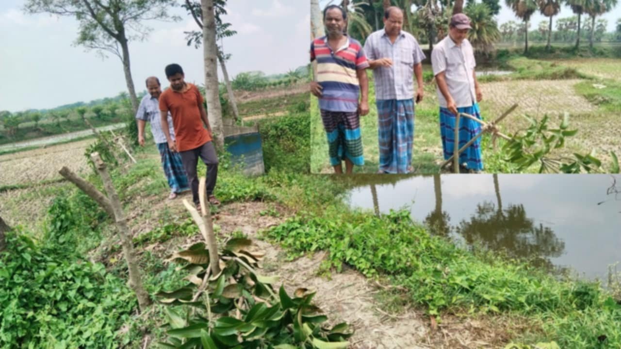কালিগঞ্জের বিষ্ণুপুরে শত্রুতার জেরে বৃক্ষ নিধন করেছে দূর্বৃত্তরা