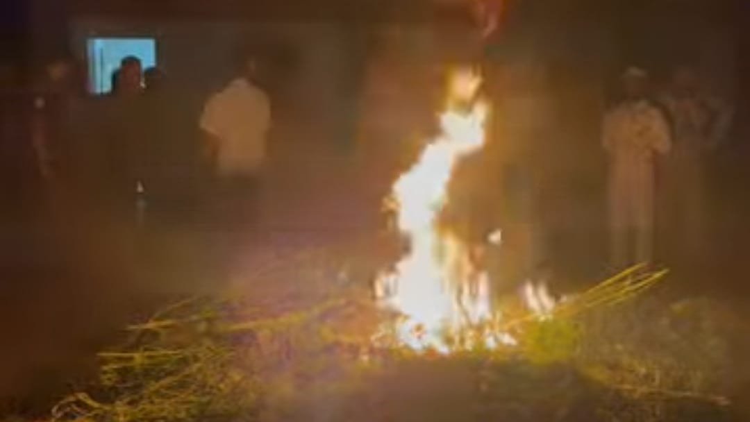 উল্লাপাড়ায় গাঁজা ও ভাং গাছের সন্ধান