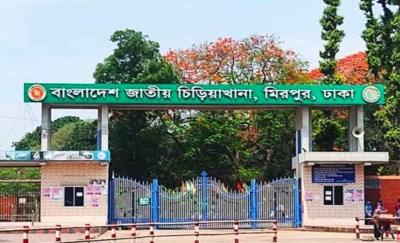 জাতীয় চিড়িয়াখানায় হঠাৎ আতঙ্ক খাঁচা ছেড়ে বেরিয়ে এলো সিংহ