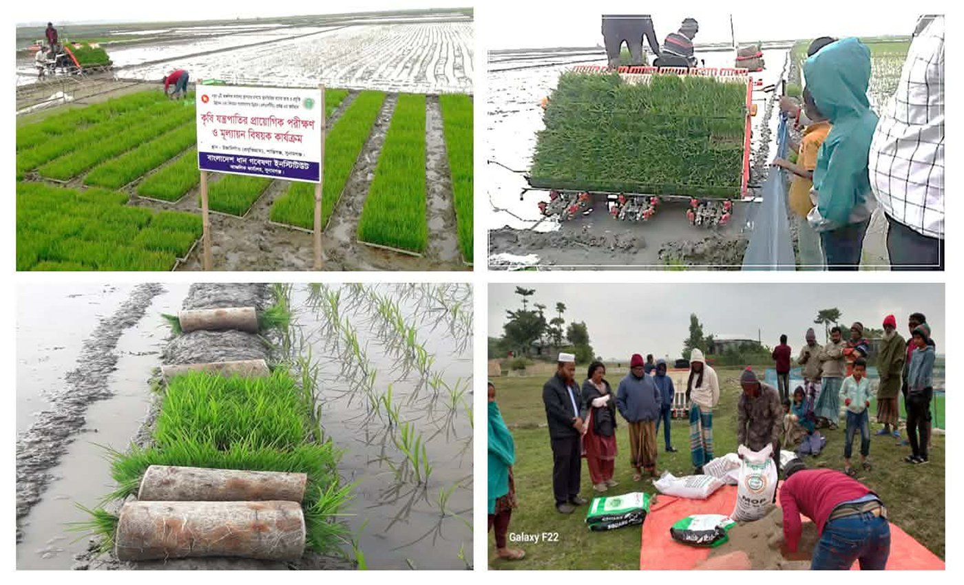 সুনামগঞ্জে প্রত্যন্ত অঞ্চলে ধান আবাদে কৃষি যান্ত্রিকিরণে ব্রি আঞ্চলিক কার্যালয়ের ব্যতিক্রমী উদ্যোগ