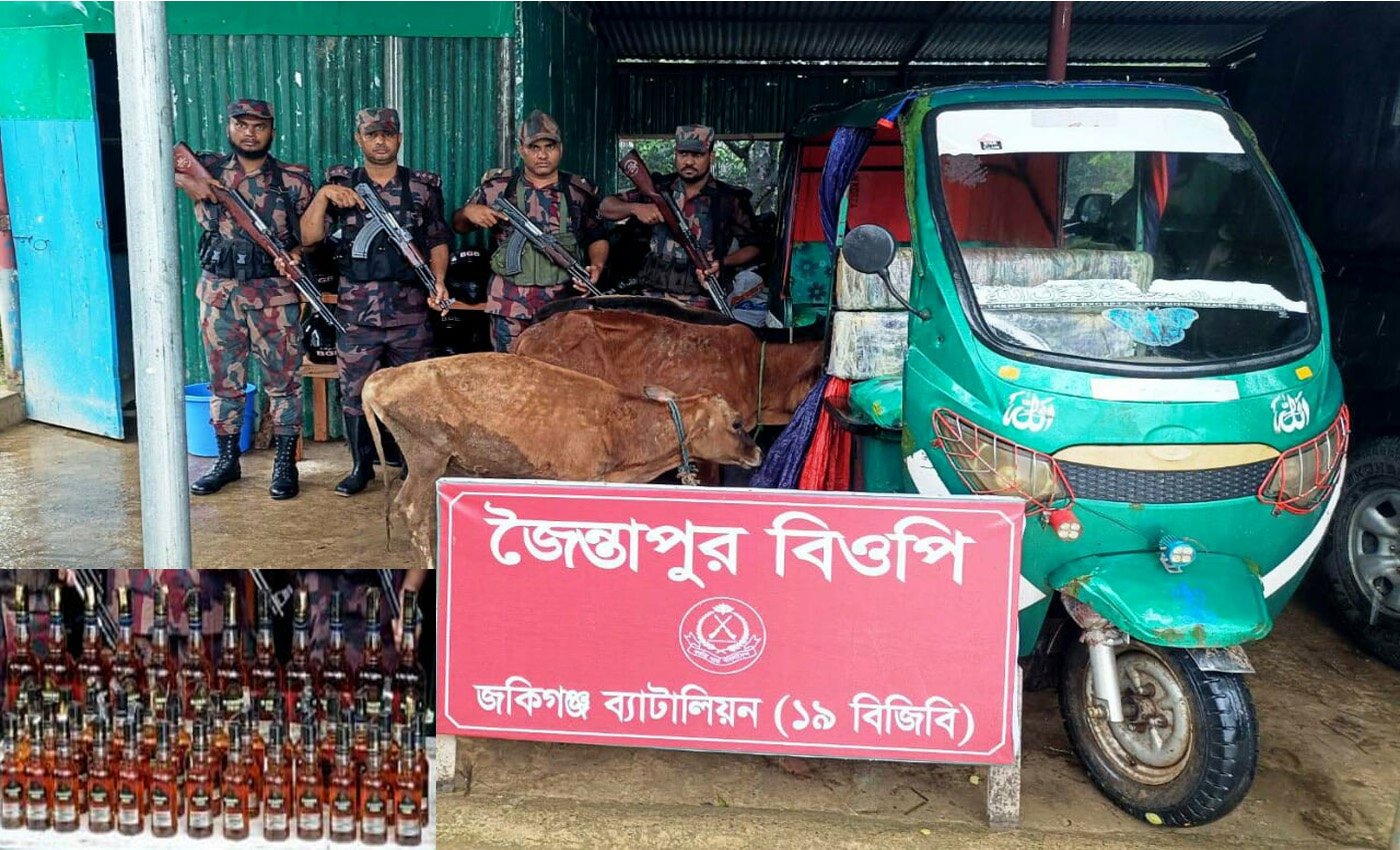 সিলেট সীমান্তে বিজিবির অভিযানে ভারতীয় মদ ও গরু জব্দ