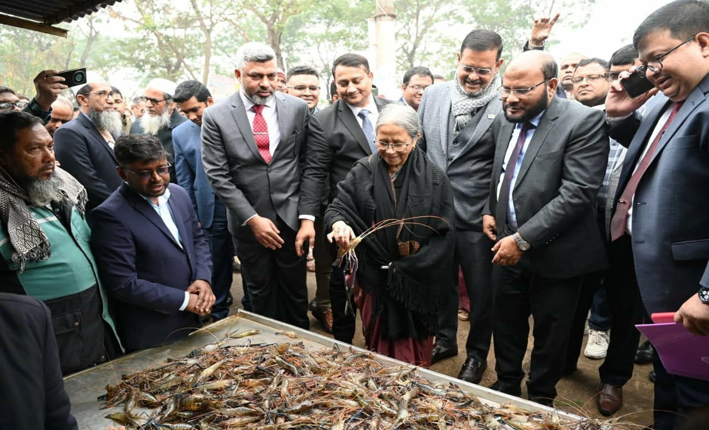 চিংড়ি রপ্তানিতে আন্তর্জাতিক পদ্ধতি অনুসরণ করতে হবে - মৎস্য ও প্রাণিসম্পদ উপদেষ্টা