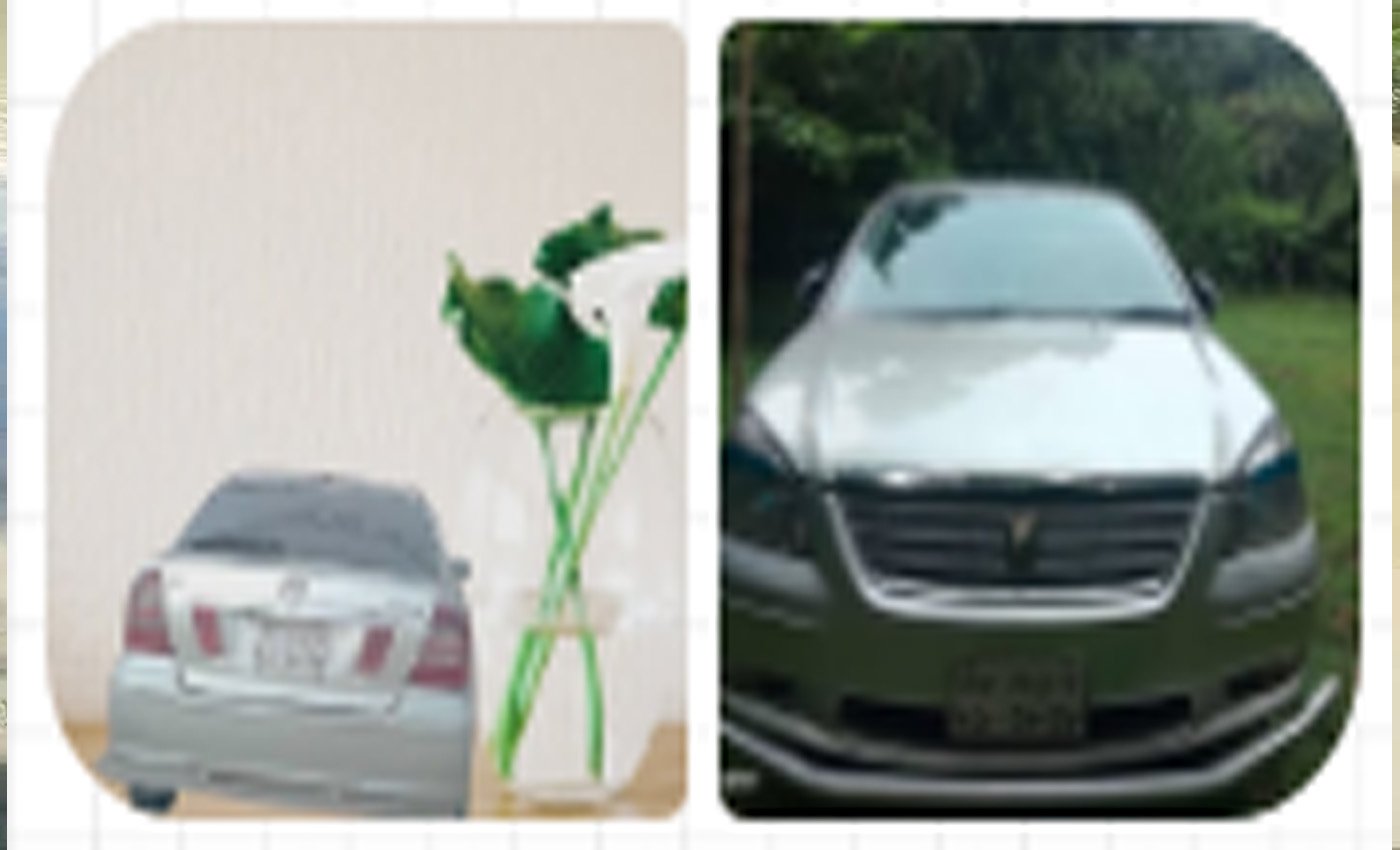 পর্যটন দিবসে সিলেটের ভোলাগঞ্জ থেকে পর্যটকের প্রাইভেট কার চুরি