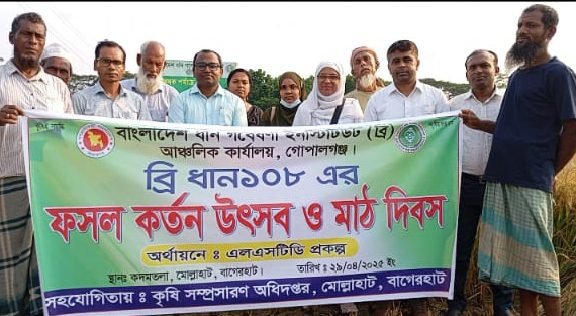 বাগেরহাট জেলায় মোল্লারহাটে ব্রি ধান -১০৮ এর ফসল কর্তন উৎসব ও মাঠ দিবস!!