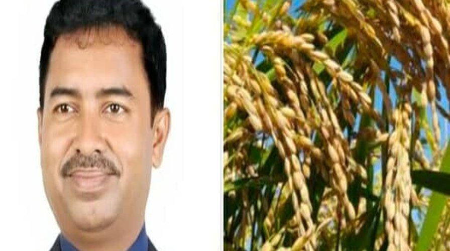 সুনামগঞ্জ-১ আসনে ধানের শীষের মনোনয়ন পেলেন আনিসুল হক
