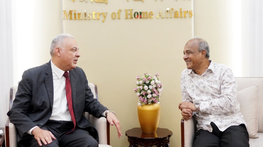 মিশরের সঙ্গে দ্রুত পারস্পরিক ভিসা অব্যাহতি চুক্তি করা হবে- স্বরাষ্ট্র উপদেষ্টা