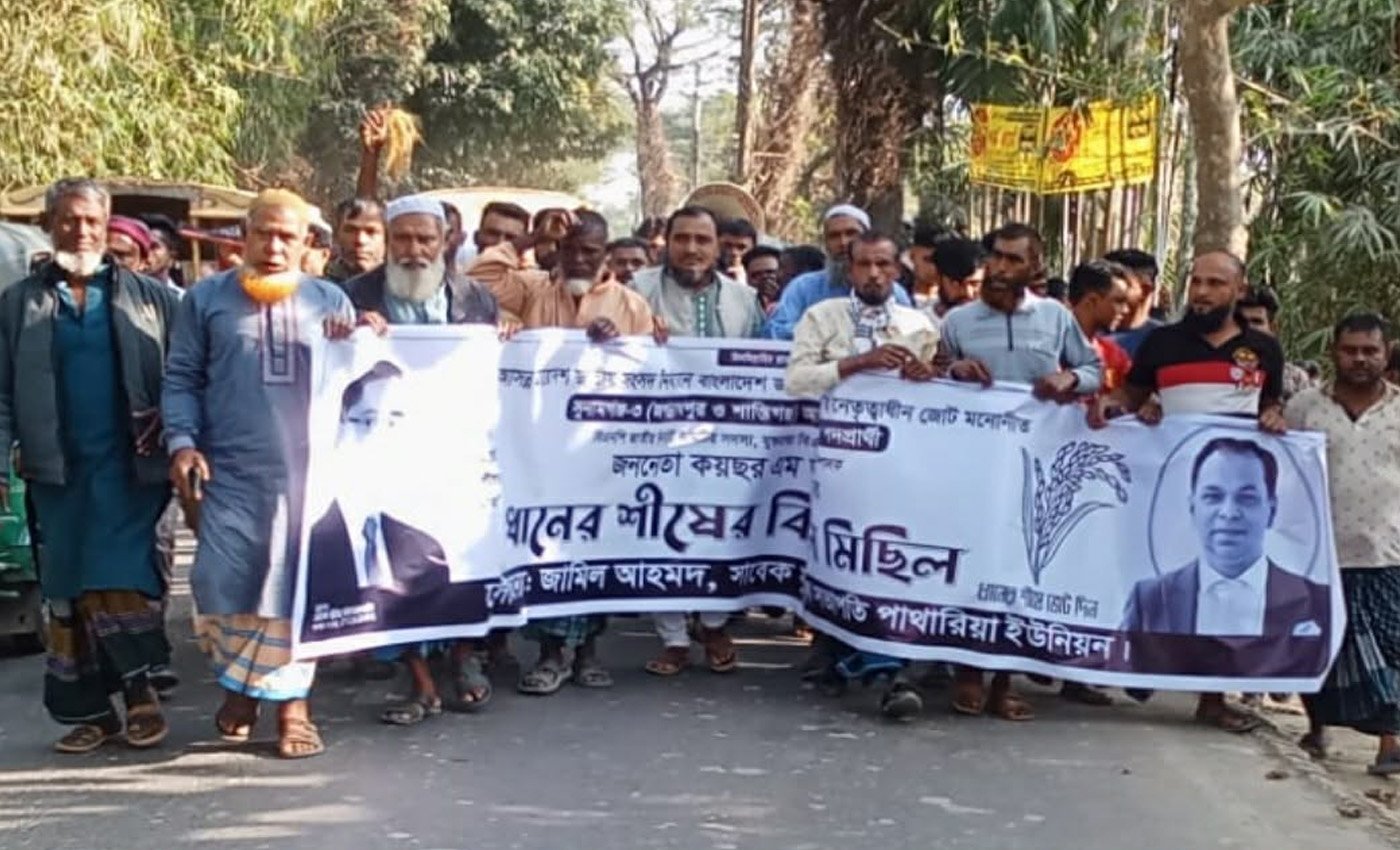 শান্তিগঞ্জের গাজীনগরে ধানের শীষের সমর্থনে প্রচারণা মিছিল