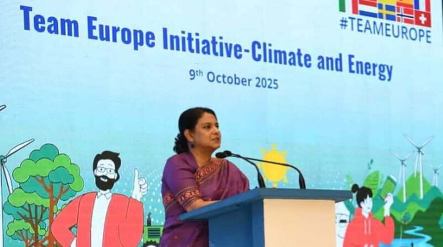 জলবায়ু ও জ্বালানি রূপান্তরে বৈশ্বিক অংশীদারিত্ব জোরদার করতে হবে: সৈয়দা রিজওয়ানা হাসান