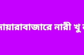 দোয়ারাবাজারে ভাতিজার বটি দার আঘাতে চাচী খুন