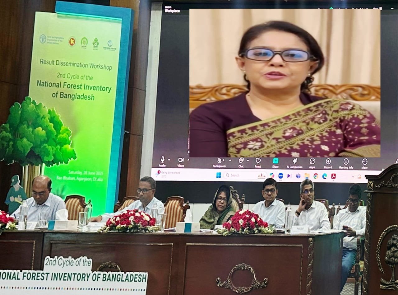 বন ও প্রাকৃতিক সম্পদের ব্যবস্থাপনায় সকলের অংশগ্রহণ জরুরি।  - পরিবেশ উপদেষ্টা সৈয়দা রিজওয়ানা হাসান