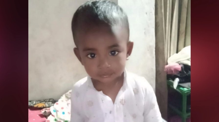 বাড়ির উঠান থেকে শিশুকে নিয়ে গেল শিয়াল