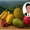 ফলের রাজ্য পার্বত্য চট্টগ্রাম