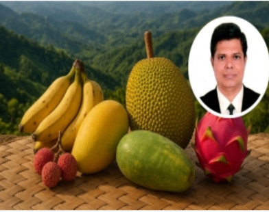ফলের রাজ্য পার্বত্য চট্টগ্রাম