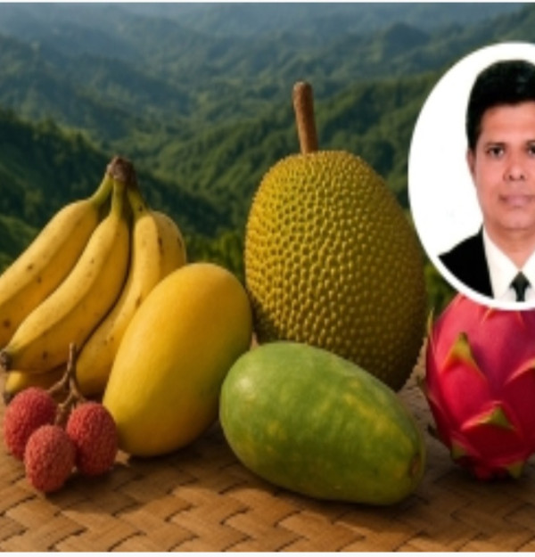 ফলের রাজ্য পার্বত্য চট্টগ্রাম