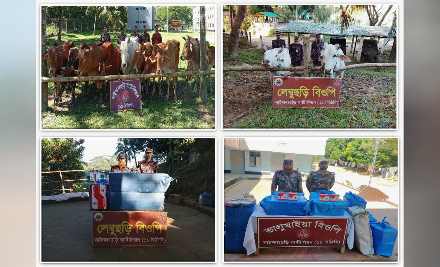 নাইক্ষ্যংছড়িতে বিজিবির অভিযান: ২৪ ঘন্টায় ১৩ বার্মিজ গরুসহ ২৬ লাখ টাকার মালামাল জব্দ