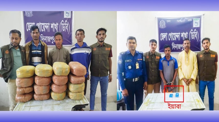 দিনাজপুরে ডিবির রাতভর অভিযানে ৩২ কেজি গাঁজা ও ১,৩০০ পিস ইয়াবা উদ্ধার