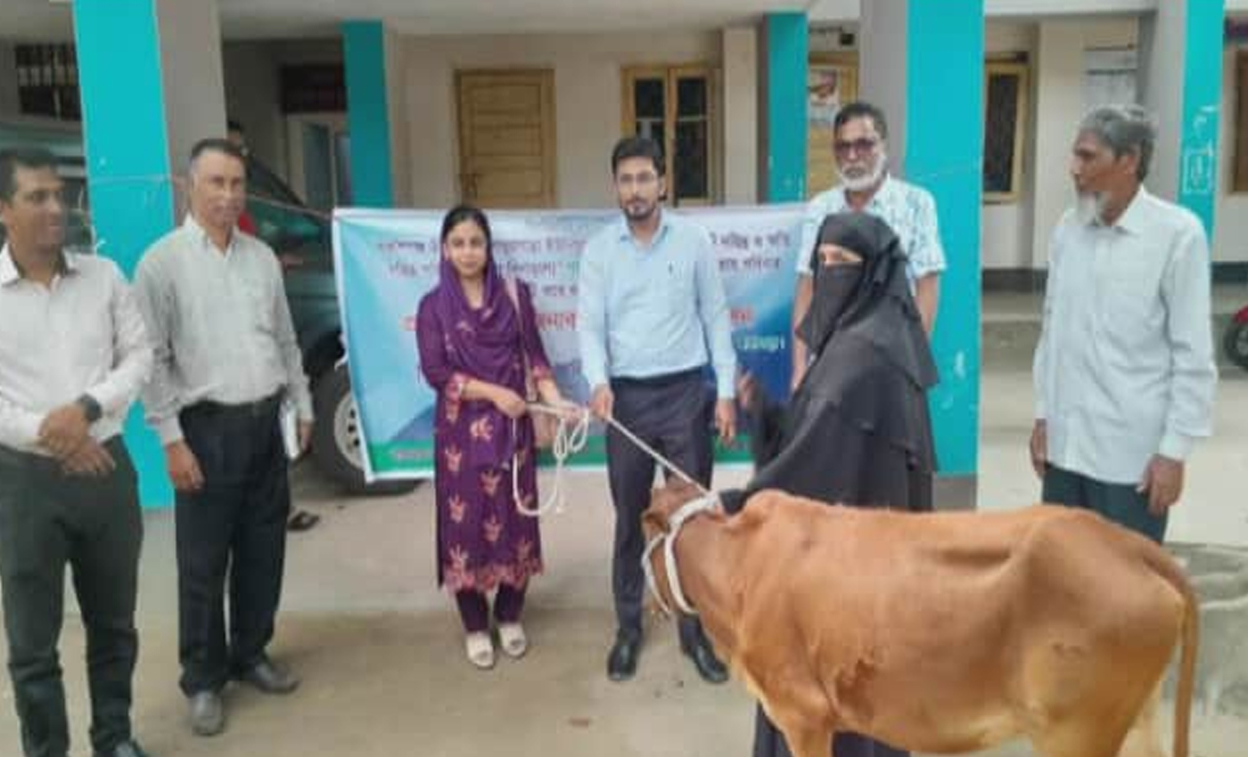 বকশীগঞ্জে দরিদ্র পরিবারের মাঝে বিনামূল্যে গাভী বিতরণ