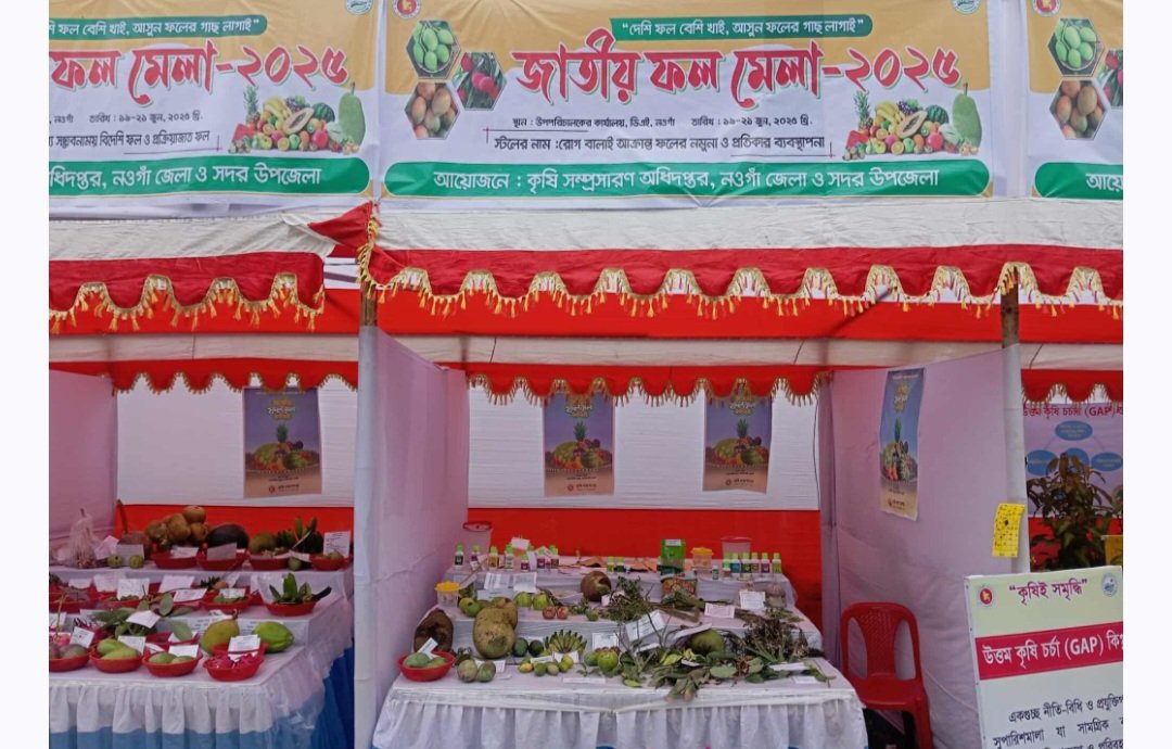 নওগাঁয় শুরু হয়েছে জাতীয় ফল মেলা