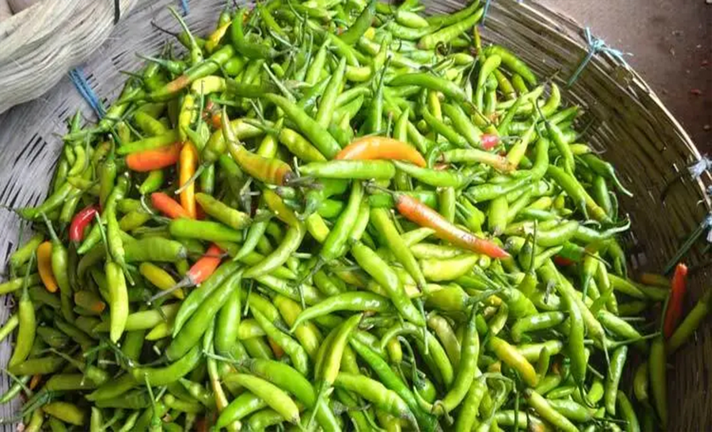 রংপুরে কাঁচামরিচের বাজারে অস্থিরতা