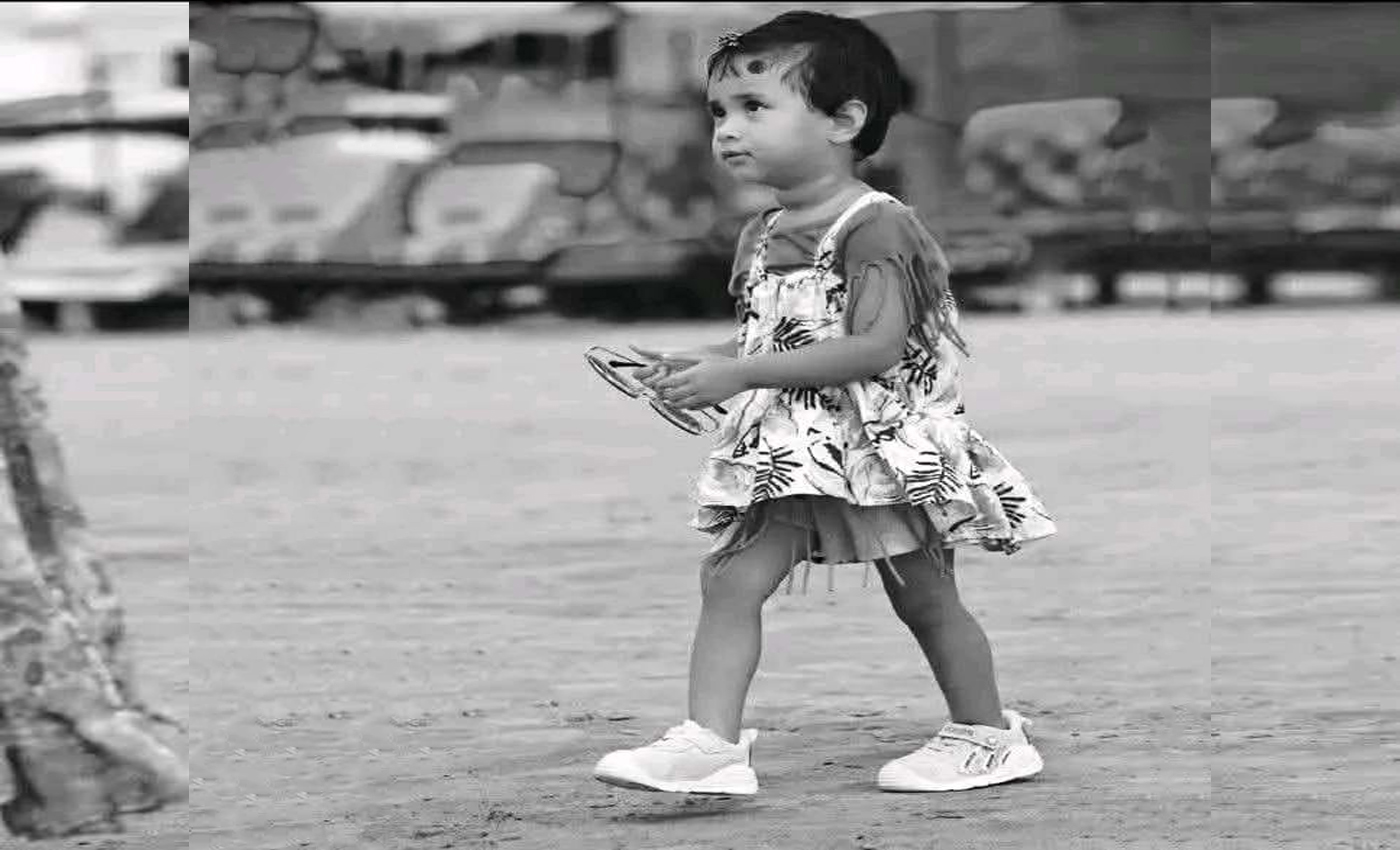 শেরপুরে সড়ক দুর্ঘটনায় এনসিপি নেতার শিশুকন্যার মৃত্যু