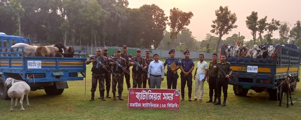 আড়াই কোটি টাকা মূল্যের ভারতীয় রাজস্থানী তোতাপুরি ছাগল ও দুম্বাসহ একজনকে আটক করেছে বিজিবি
