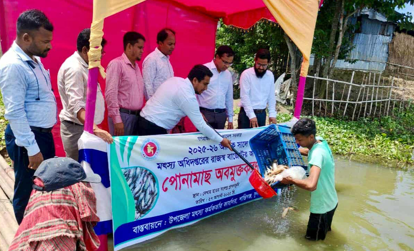শান্তিগঞ্জে মাছের উৎপাদন বৃদ্ধিতে পোনামাছ অবমুক্ত