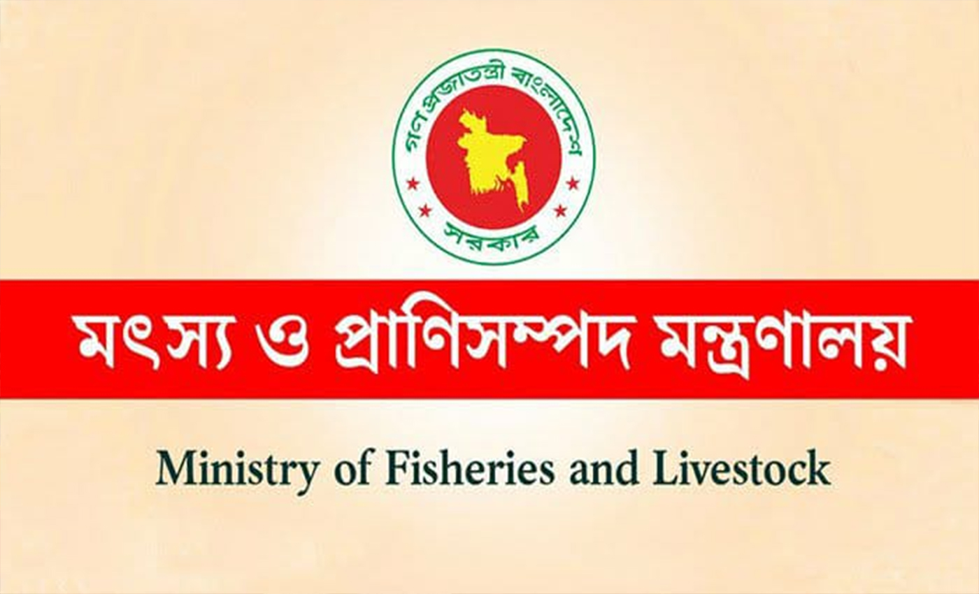 চট্টগ্রাম-৮ এ বিএনপি প্রার্থীর প্রচারণায় সহিংস হামলার ঘটনায় অন্তর্বর্তীকালীন সরকারের নিন্দা