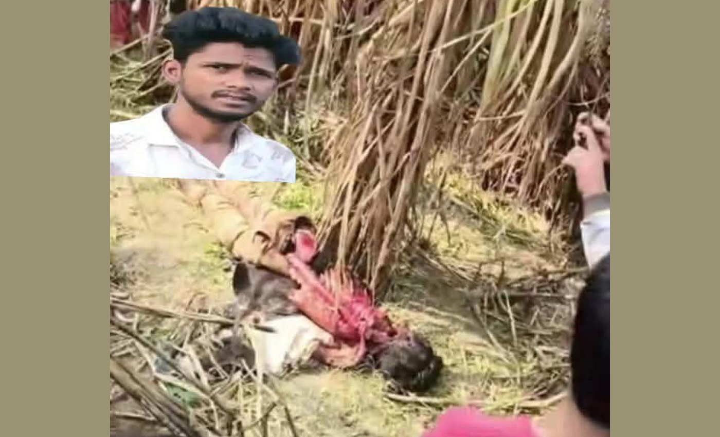 জামালপুরে অটোচালককে শেয়ালের আক্রমণে মৃত্যু