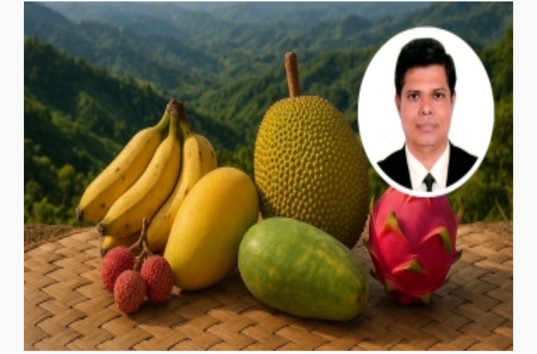 ফলের রাজ্য পার্বত্য চট্টগ্রাম
