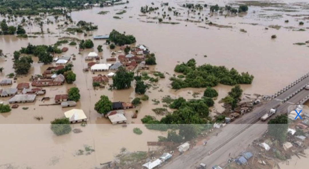 ভয়াবহ বন্যায় মৃতের সংখ্যা ছাড়াল ১০০