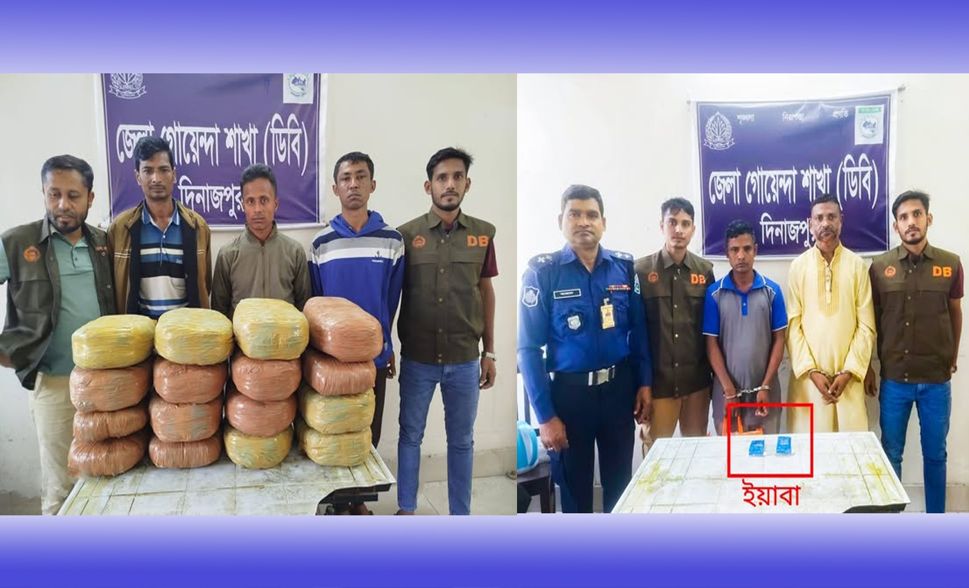 দিনাজপুরে ডিবির রাতভর অভিযানে ৩২ কেজি গাঁজা ও ১,৩০০ পিস ইয়াবা উদ্ধার